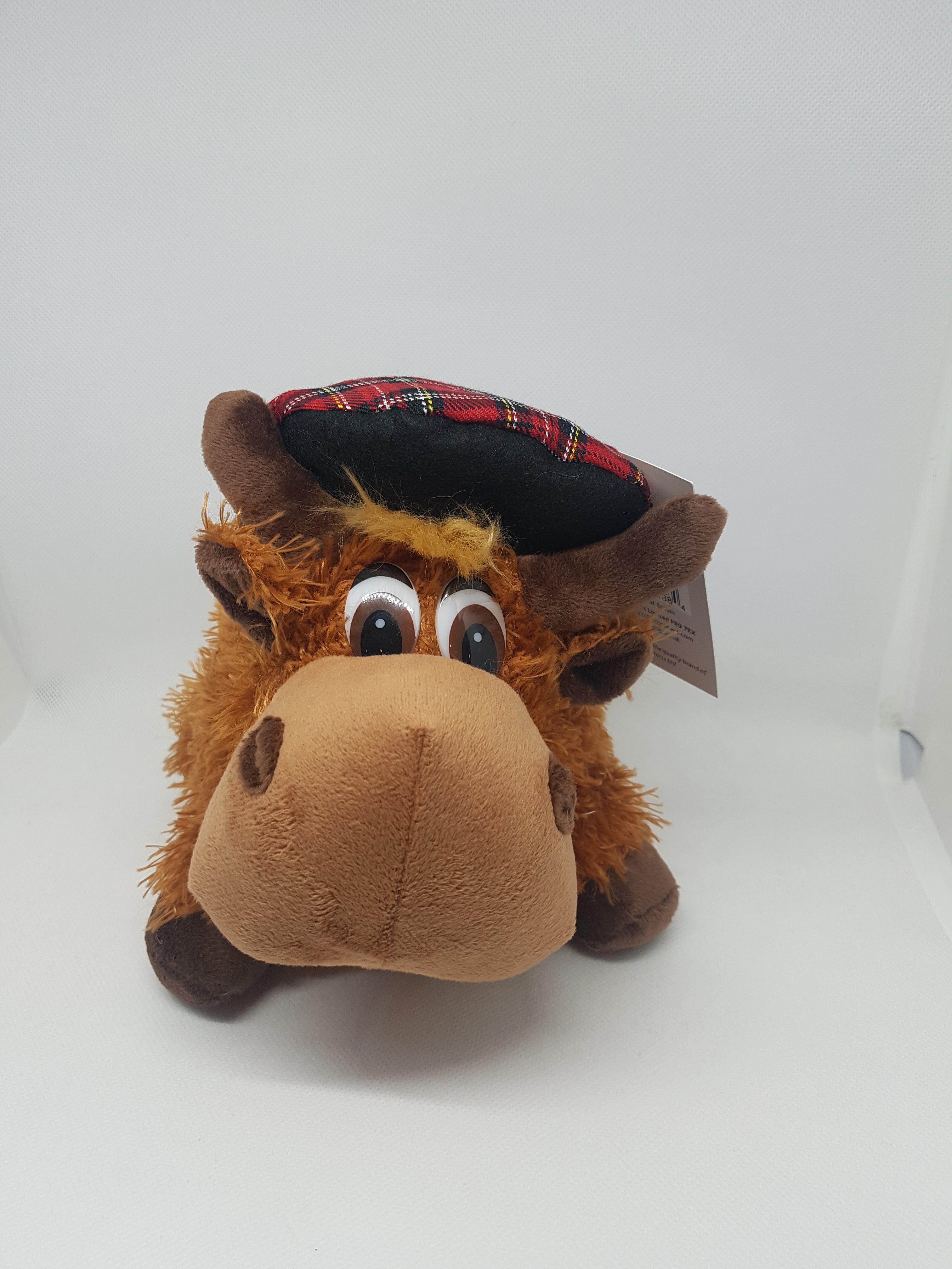 Hamish the Highland Cow