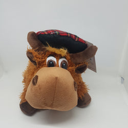 Hamish the Highland Cow