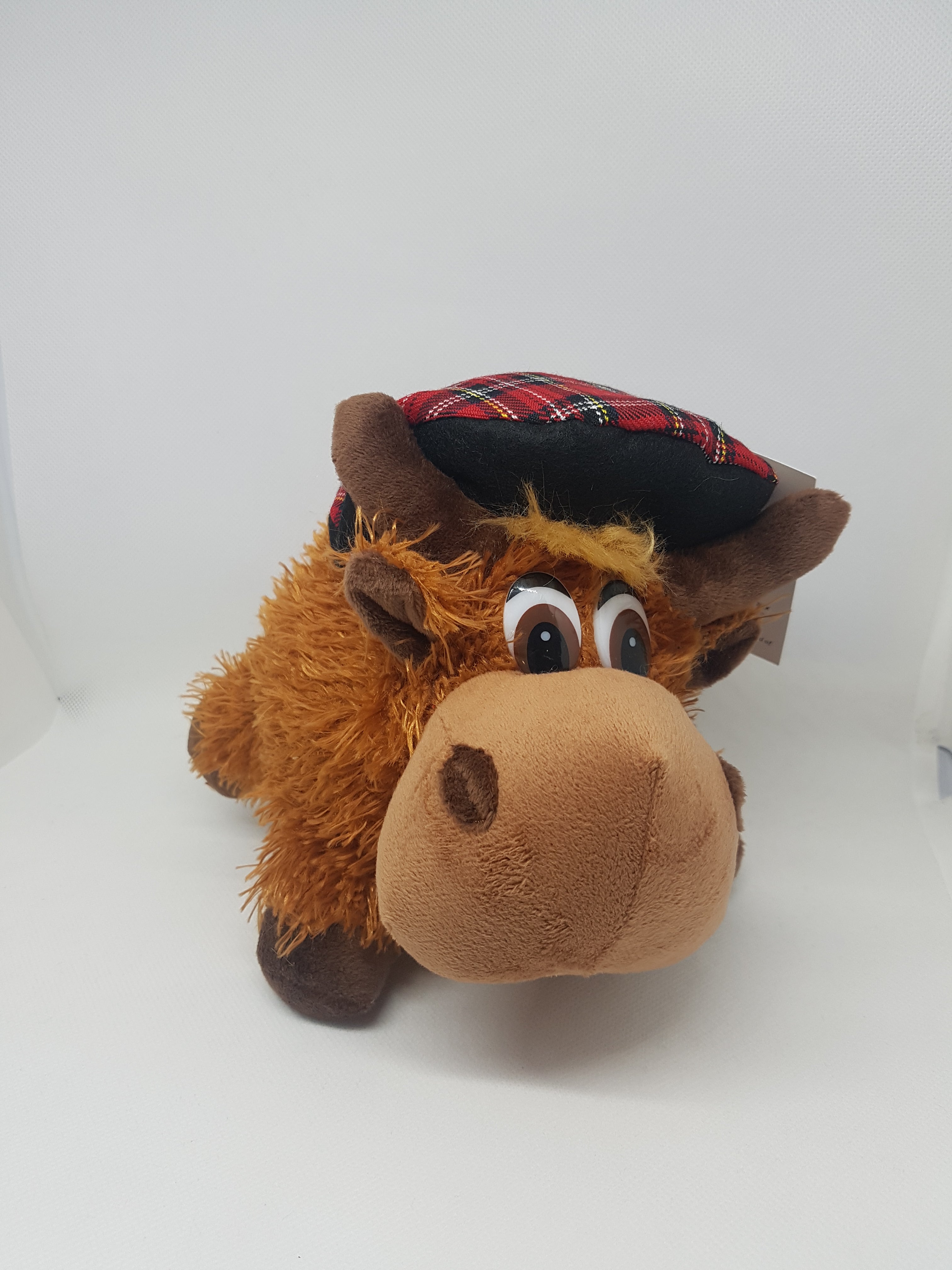 Hamish the Highland Cow