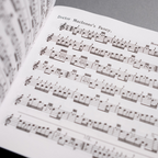 Donald MacLeod Bound Collection